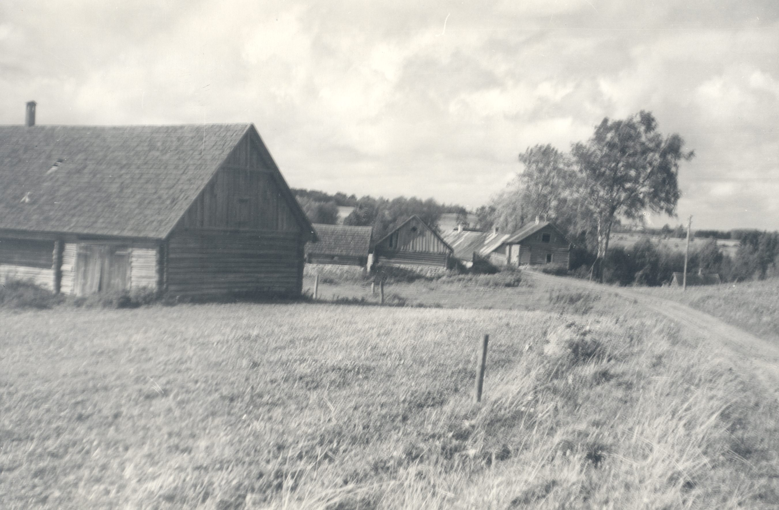 Wound, Anna from the birthplace. Kodavere, Hawkstone.
