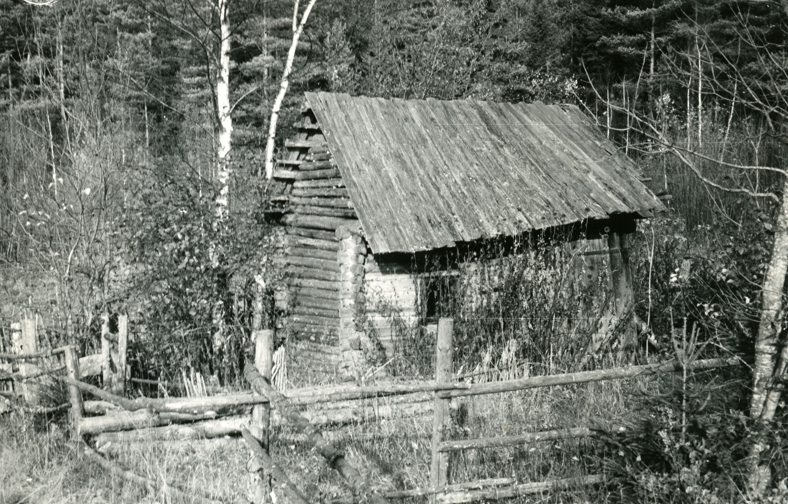 August Toomingas sauna Rõngus, Koruste village on 18 October. 1961