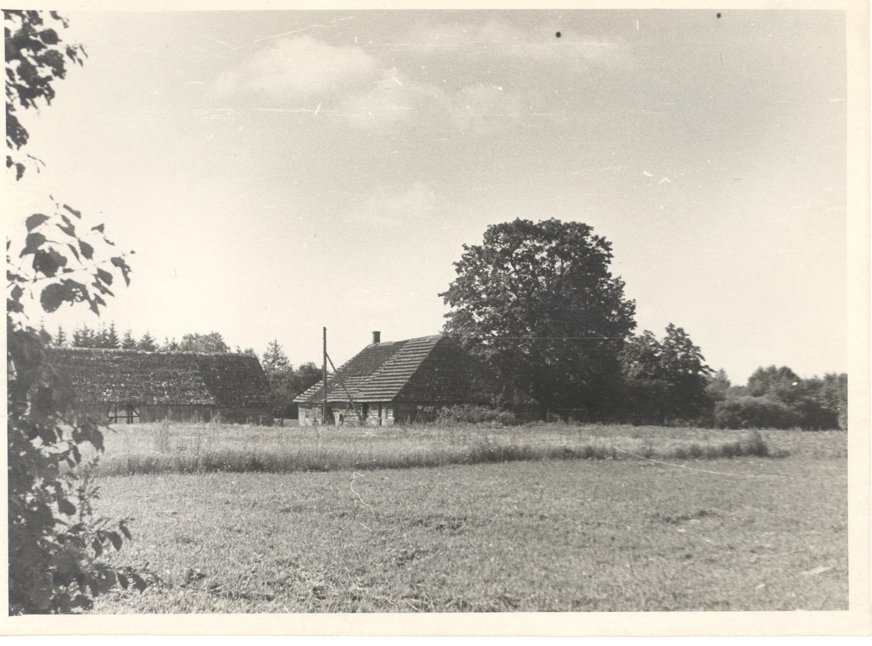 Yeah. Vares-Barbarus's birthplace at Kiisa farm in Heimtalis view