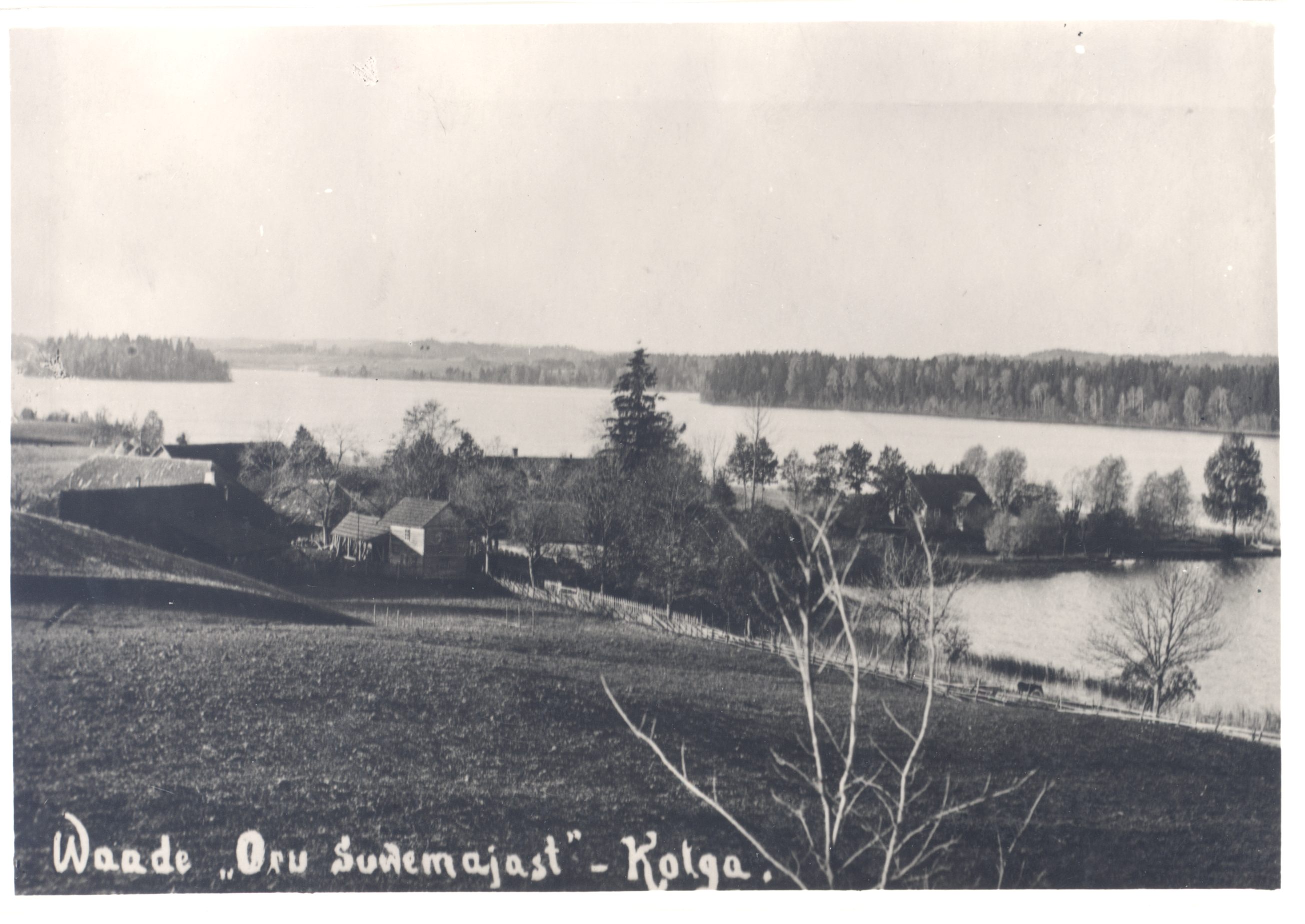 [Vilde, Eduard] and Jürmann, Linda's residence in Pühajärve, Kolga farm in summer and autumn 1905