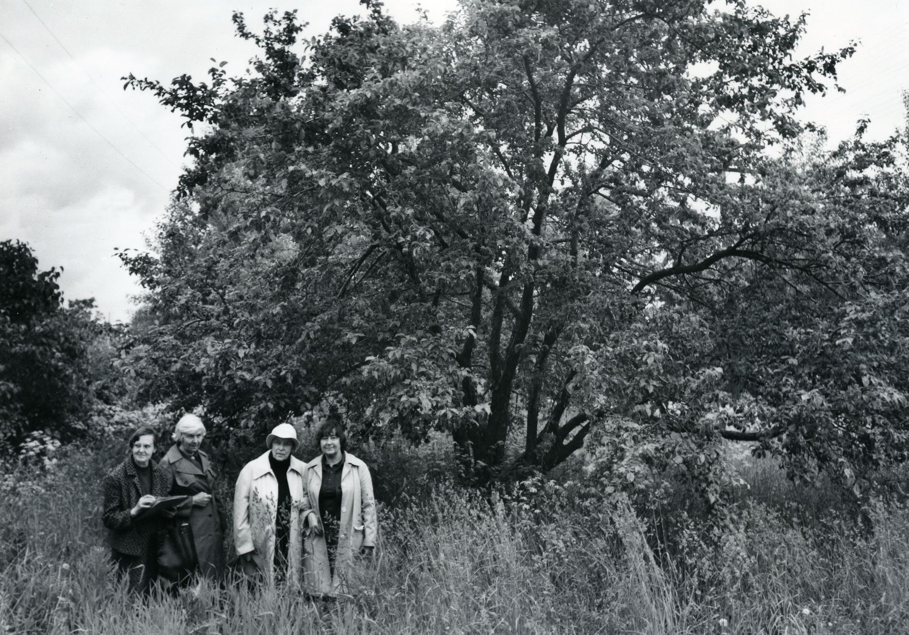 Betti Alver's birthplace under the pear tree planted by his father. From the right: Velly Verev, Betti Alver, Renate Tamm and Linda Nigul 1982.