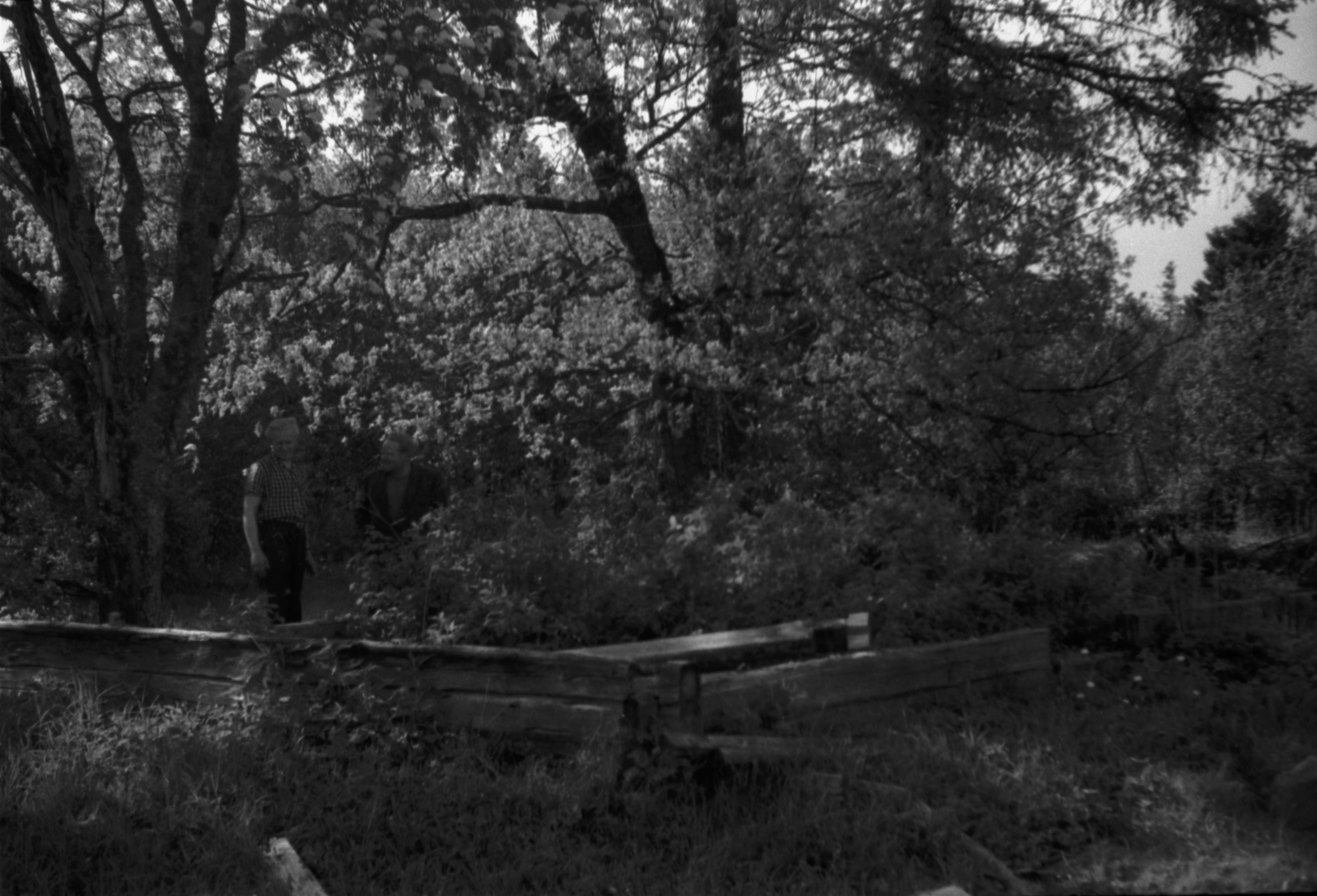 Hendrik Adamson's last home place in 1961.