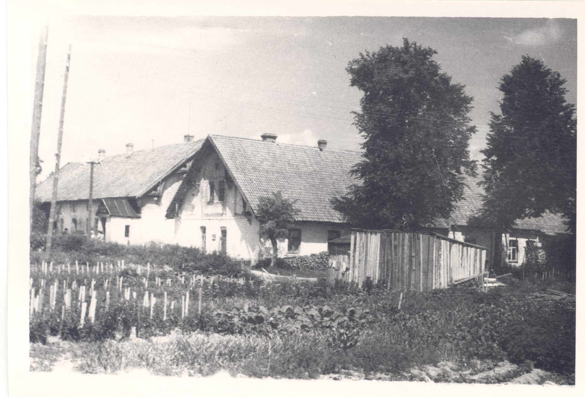 A. Kitzberg's first place of residence in Kalkuni on the table in 1961