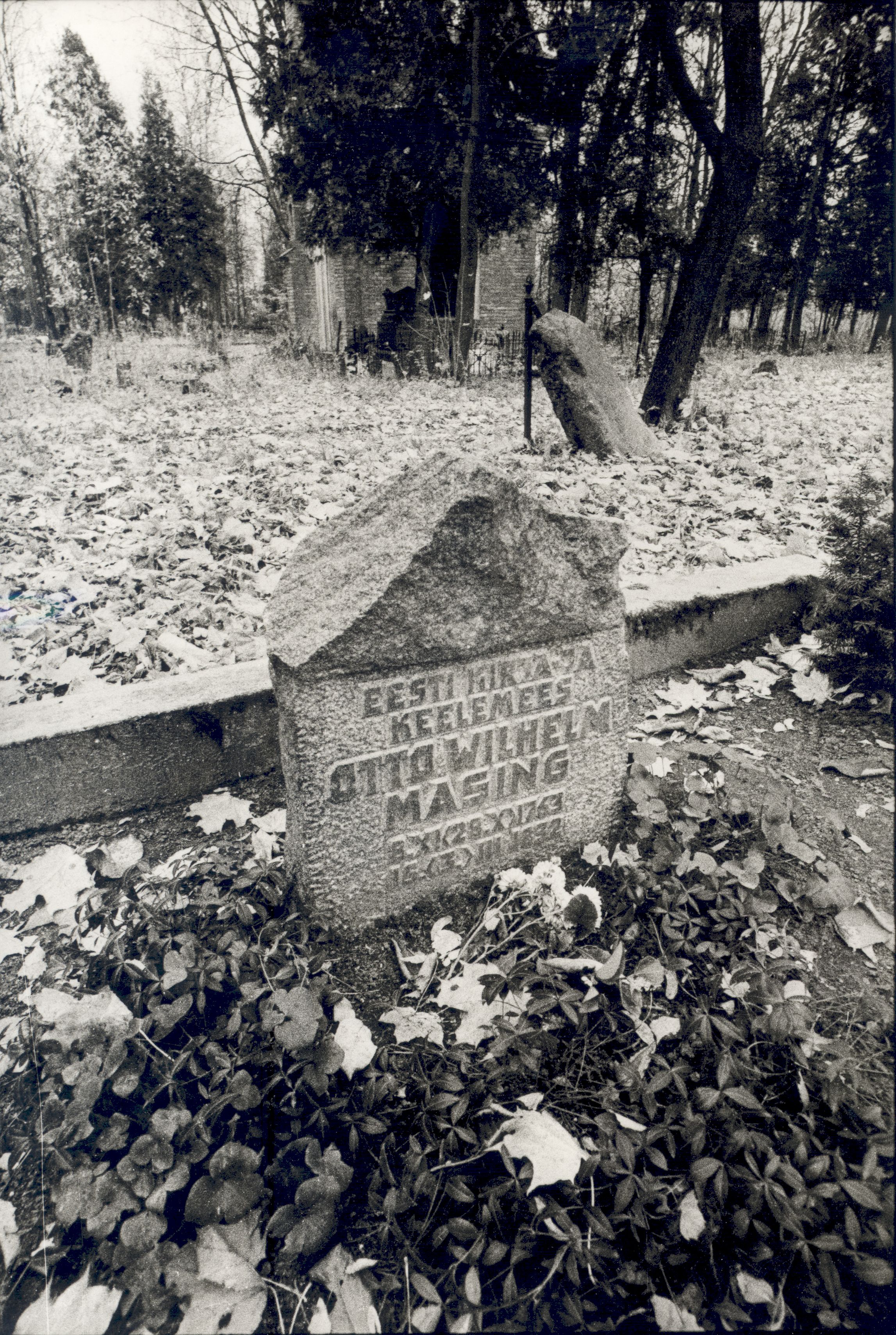 Otto Wilhelm Masingu grave in Tartu on the Radi cemetery