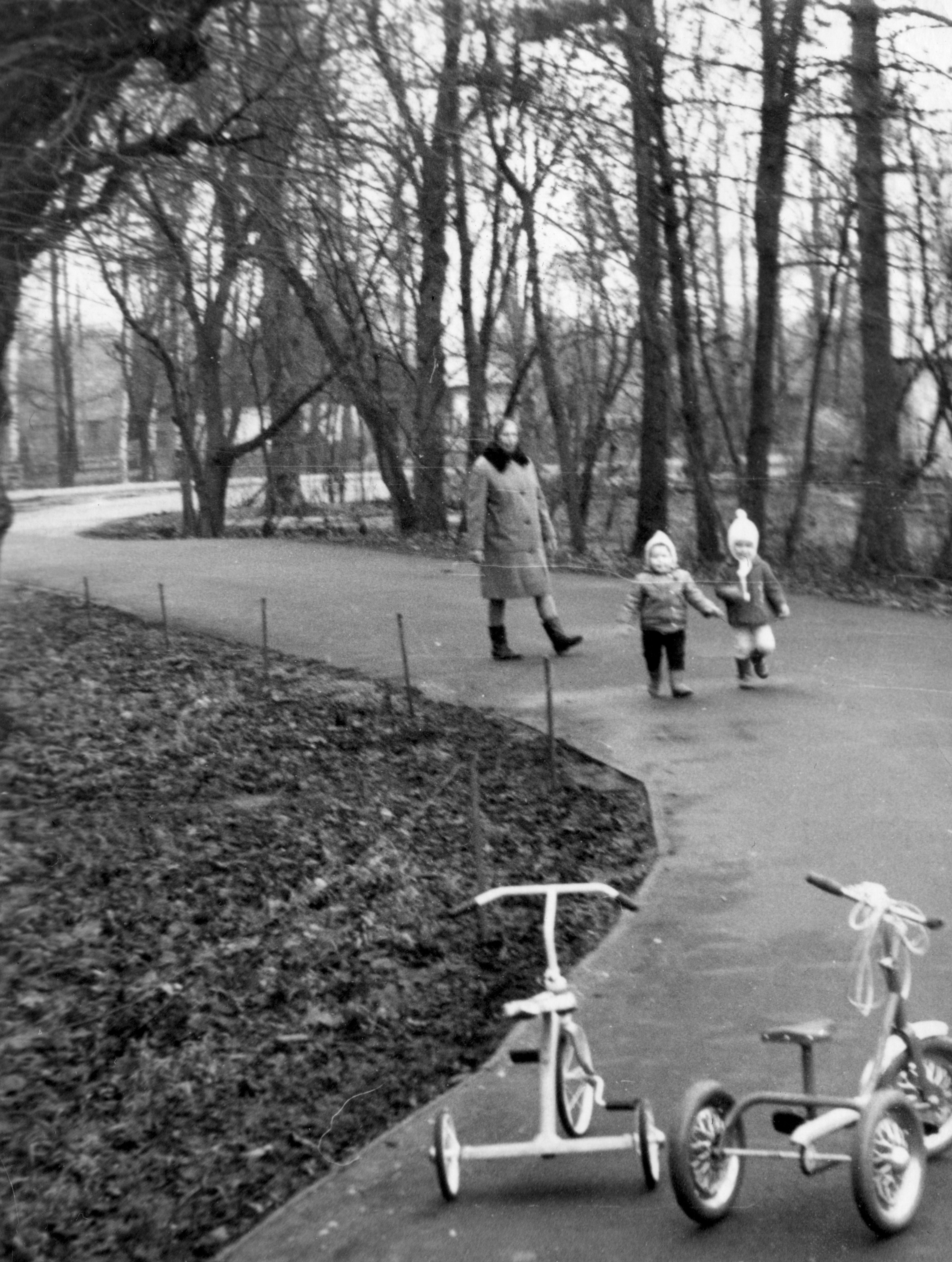 Walkers in Taebla