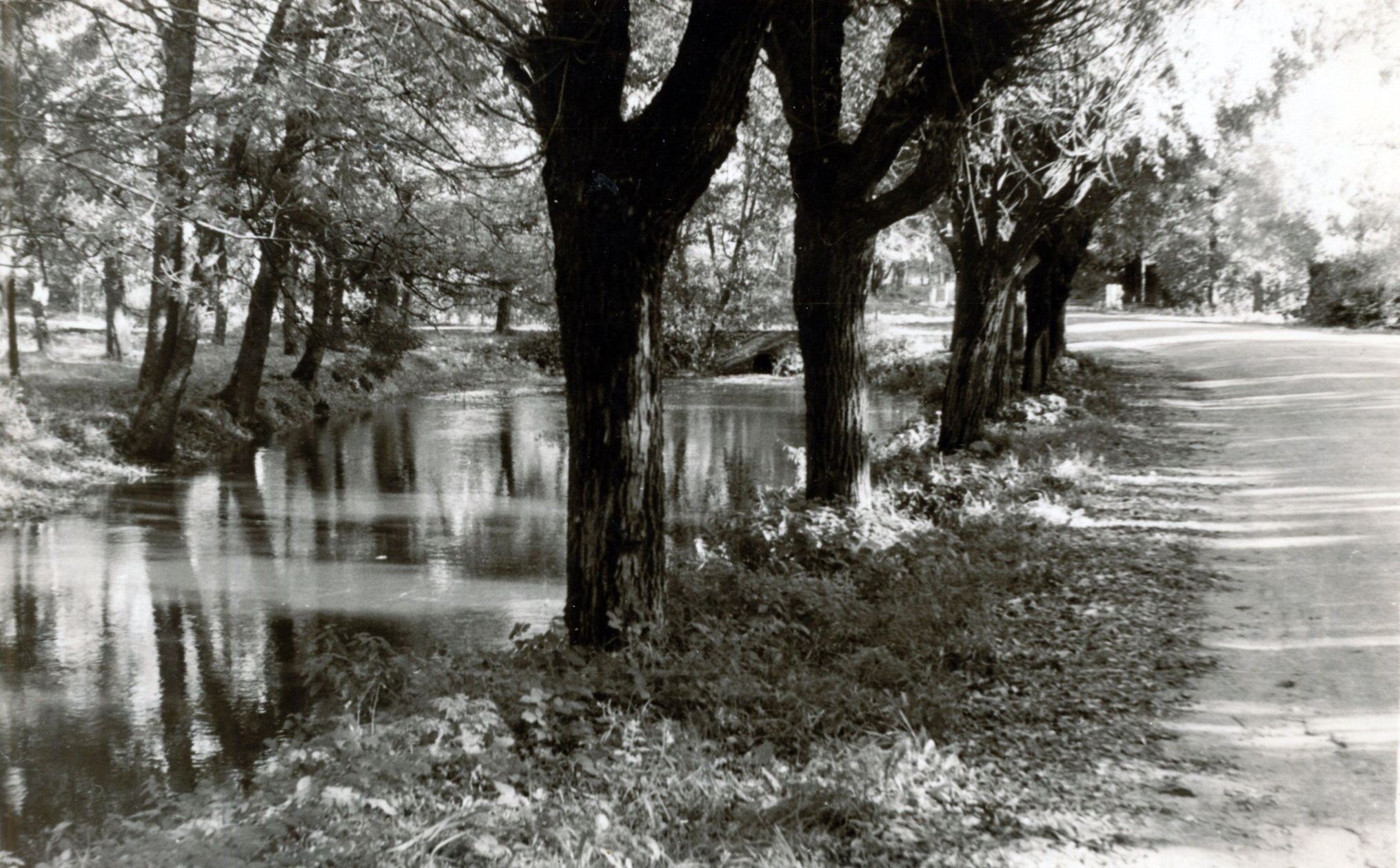 In Taebla south of Tallinn, the river flowed