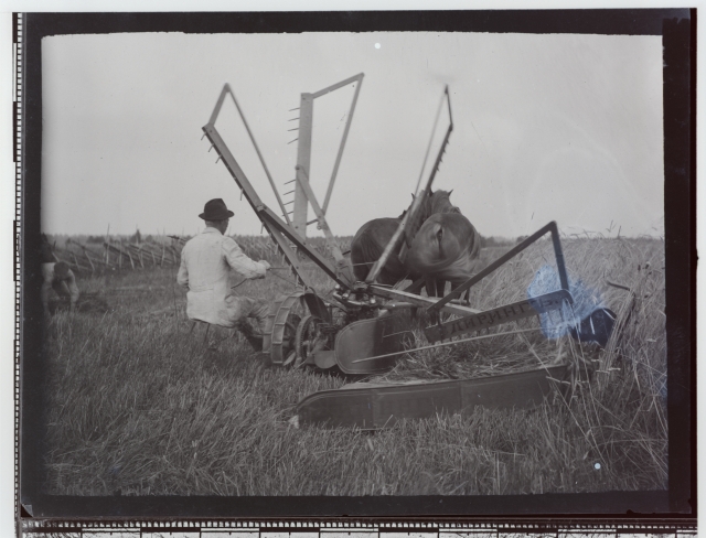 Teravilja koristamine hobu-viljalõikusmasinaga