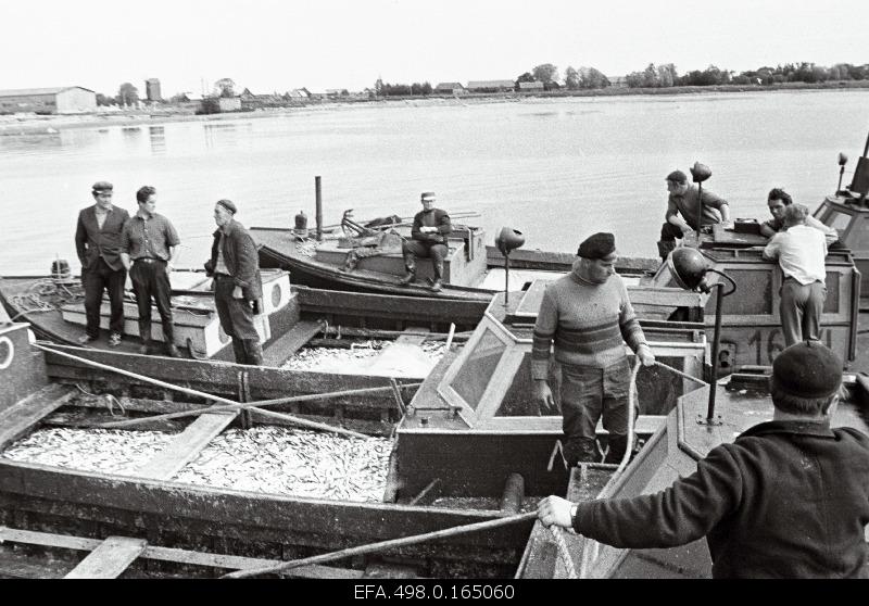 Fishermen of the “Pärnu Rand” fishermen after the catch in the port.