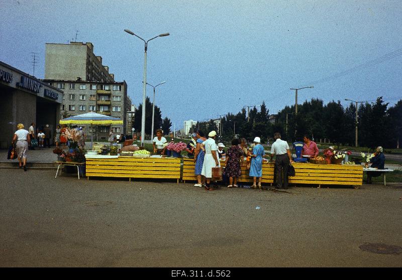 View of the summer market near Minsk.