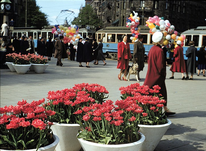 Cronquist 1953 - Nybroplan i Stockholm