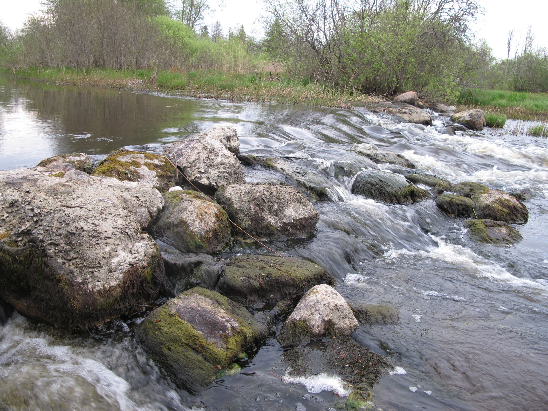 Kohatu küla vesiveski kärestik - Kohatu hoiuala