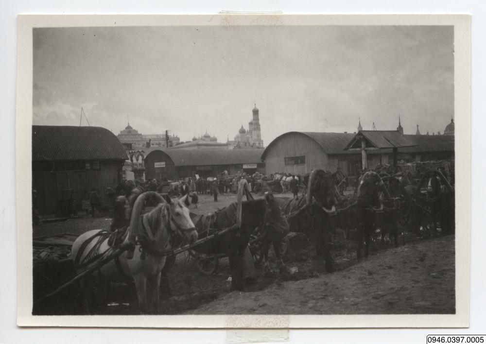 Häst, vagn, photographer, photographer - (Ant. Photo baksida: No. 10 - 1924 Moscow Torg) - 0946.0397.0005 - Den nya svenska Kamtjatka-expeditionen (1924-1927)