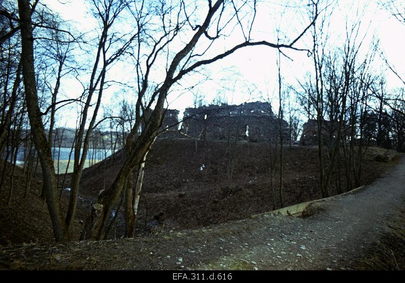View of Viljandi castle roofs.