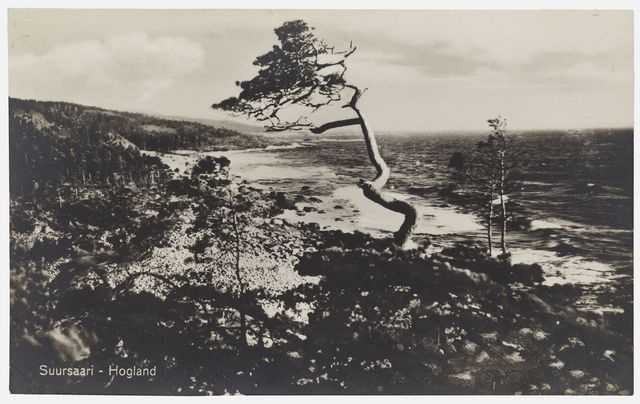 View to the windy Suursaare - scale, black and white, postcard size 8 x 14 xm