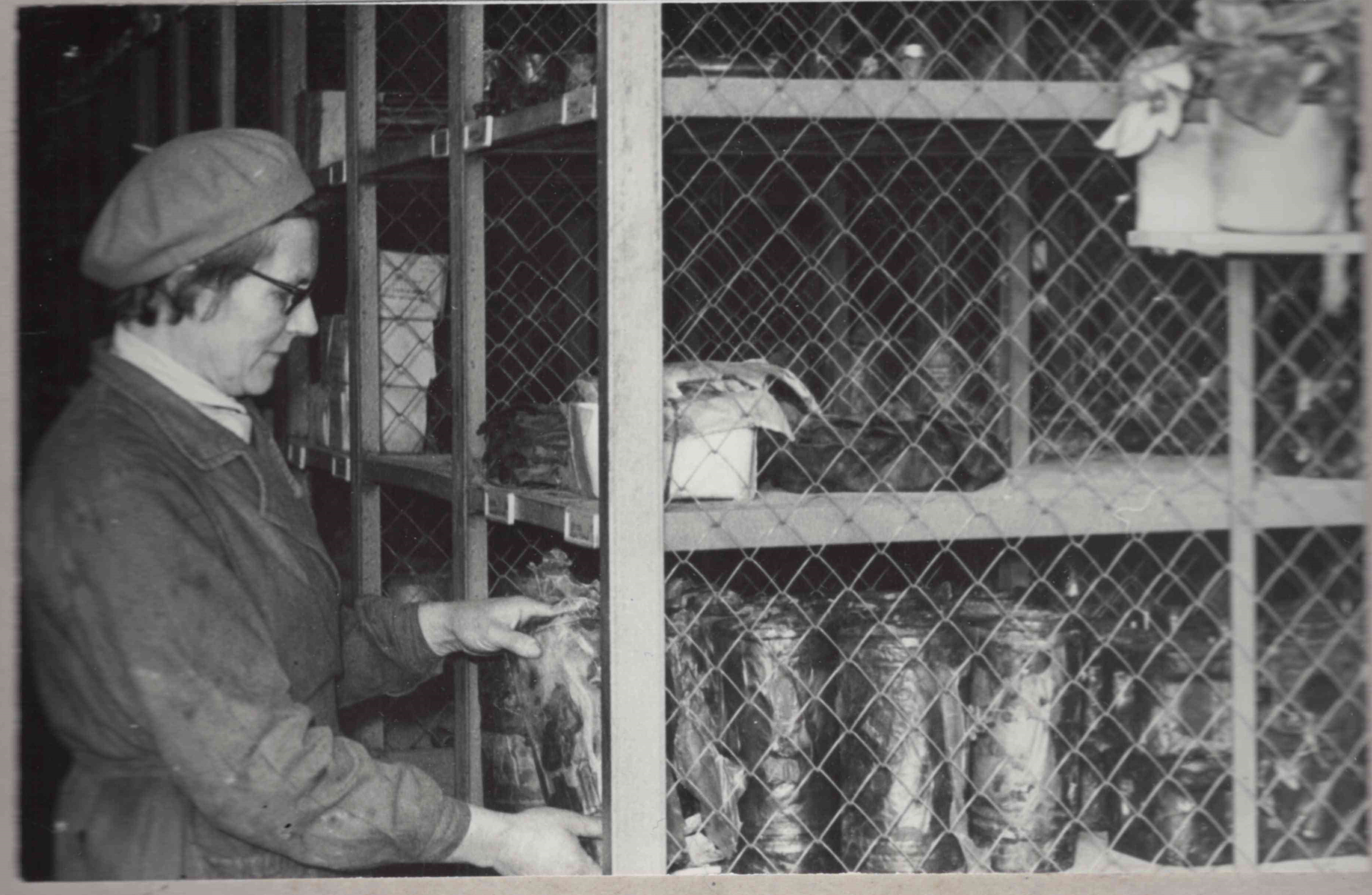 Director of the I warehouse Helmi Ilves