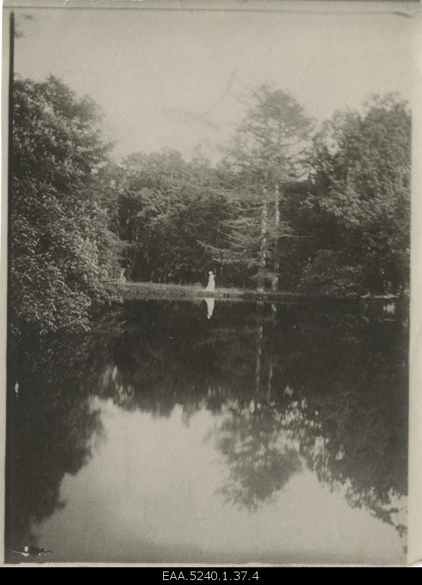 Water body in Koluvere Castle Park