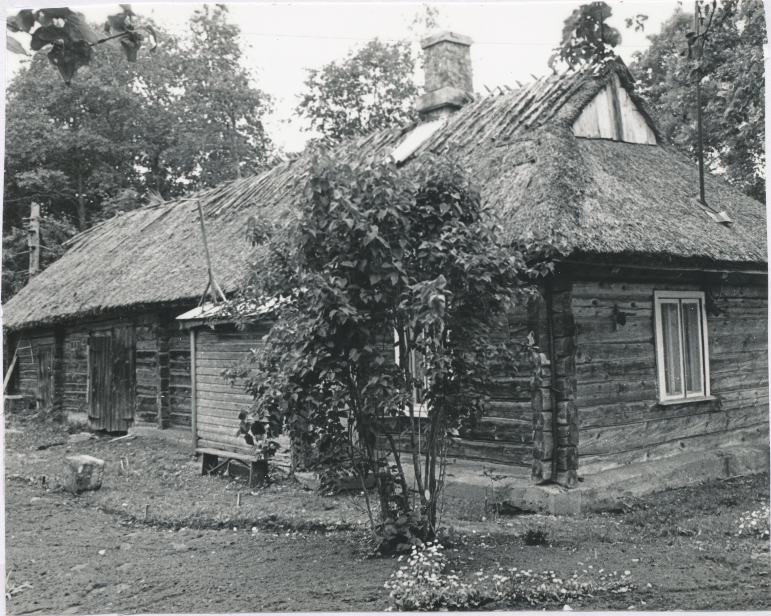 Võntkülas Aaviku farm 1982