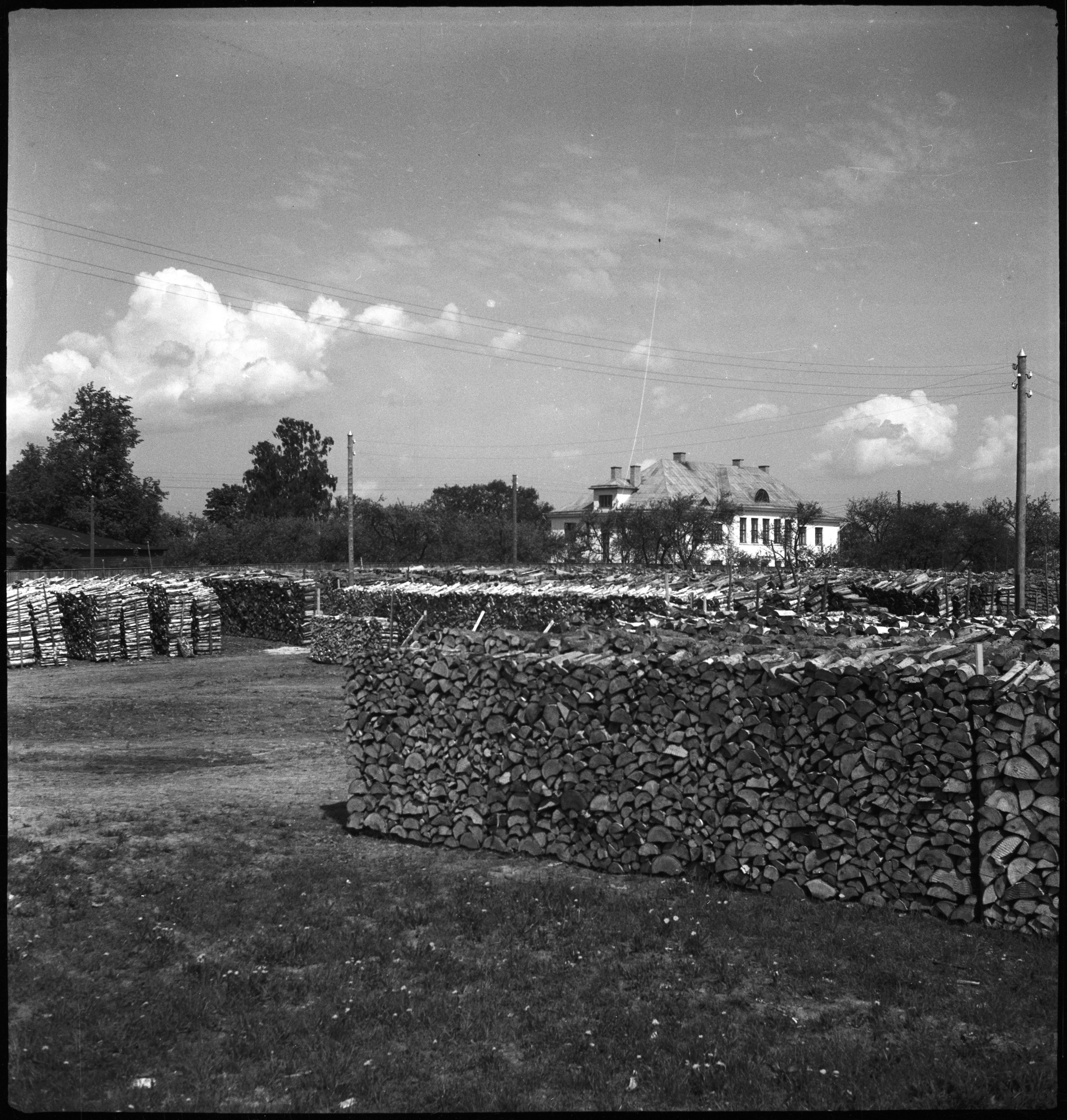 CH-NB - Estonia, Valk-Walk (Valga)- wood - Annemarie Schwarzenbach - SLA-Schwarzenbach-A-5-16-126 - Estonia, Valk/Walk (Valga): wood; Arched wood