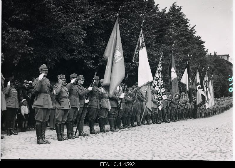 Representatives of the Defence League on the paradise with flags.