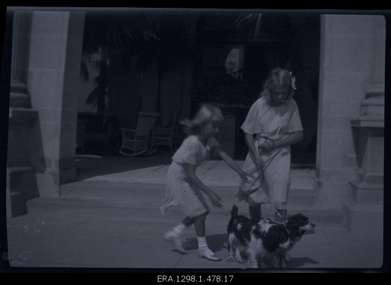 Two girls playing with dogs