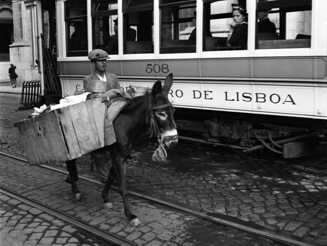 Aasi transporting goods on the street of Lisbon