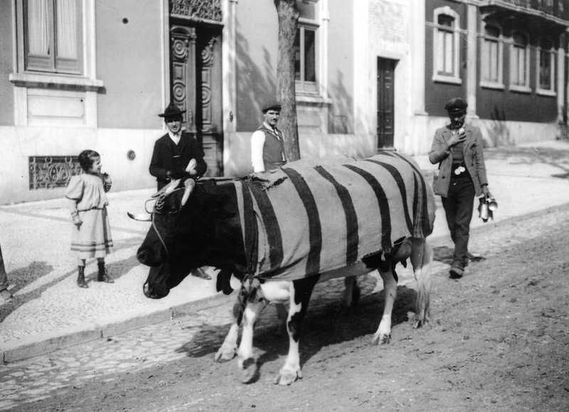 A venda do leite perigoso 1910 Photo Joshua Benoliel 1 - lang