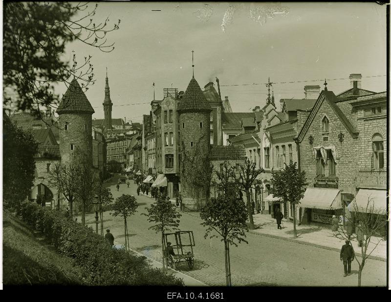 Viru Street in Tallinn.