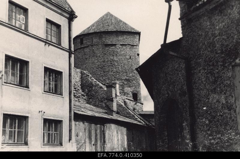 View to Köismäe Tower.