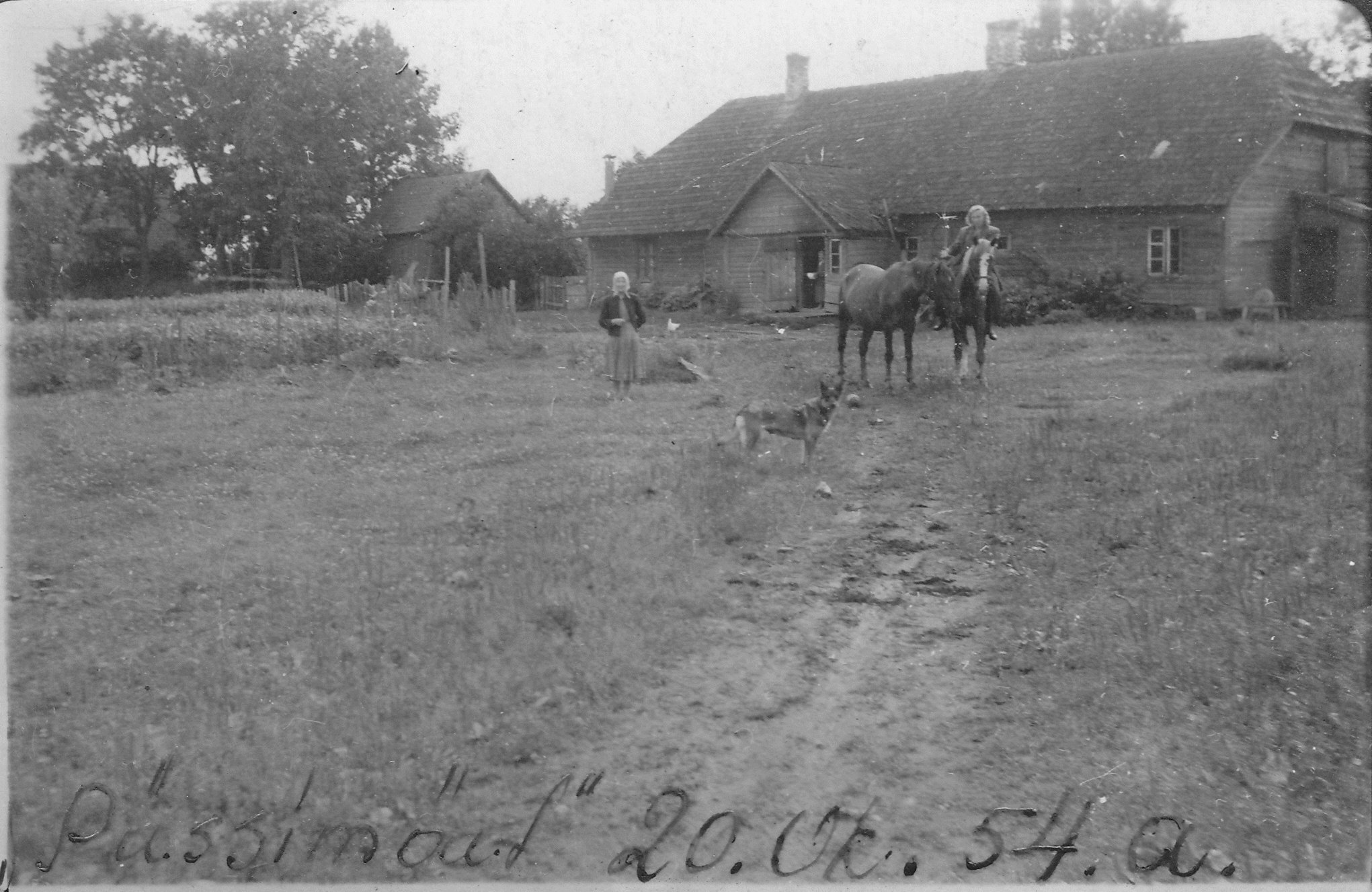 Püssimägi 20.10.1954