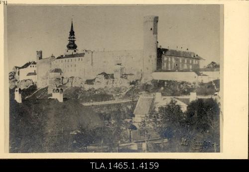 View Toompea Falk from the road.