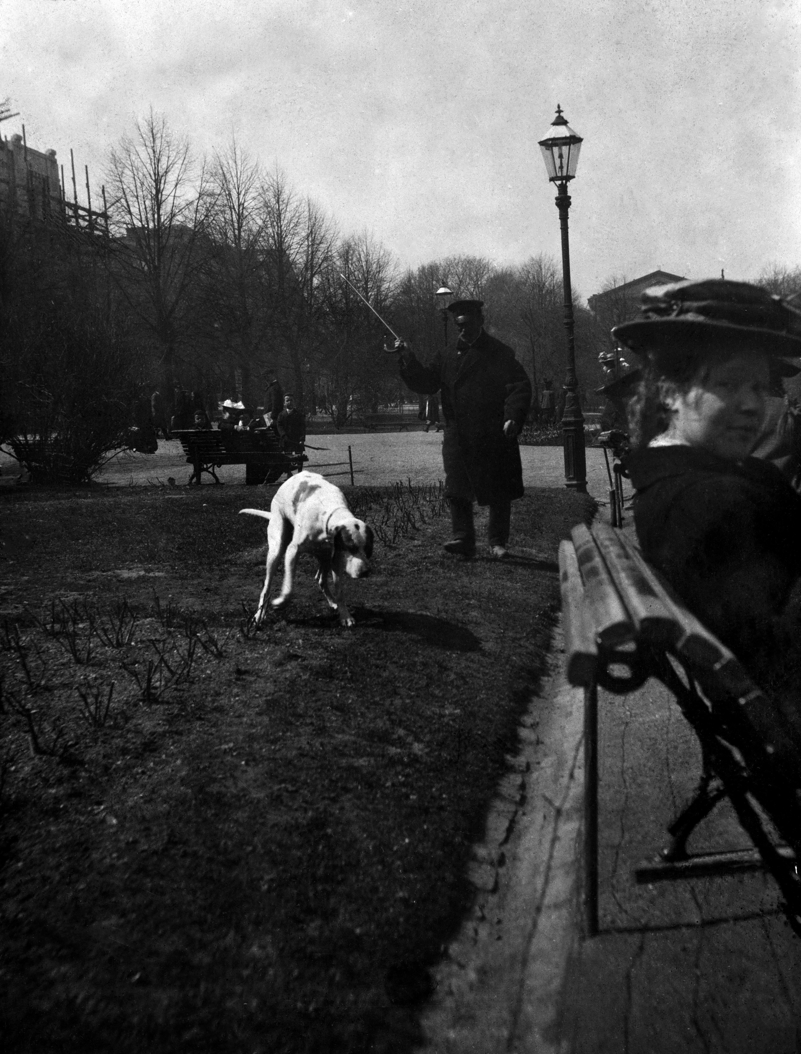 Puistovahti  Pavel Andrejeff Hait (k. 1915) hätistää koiraa Runebergin esplanadin nurmikolta