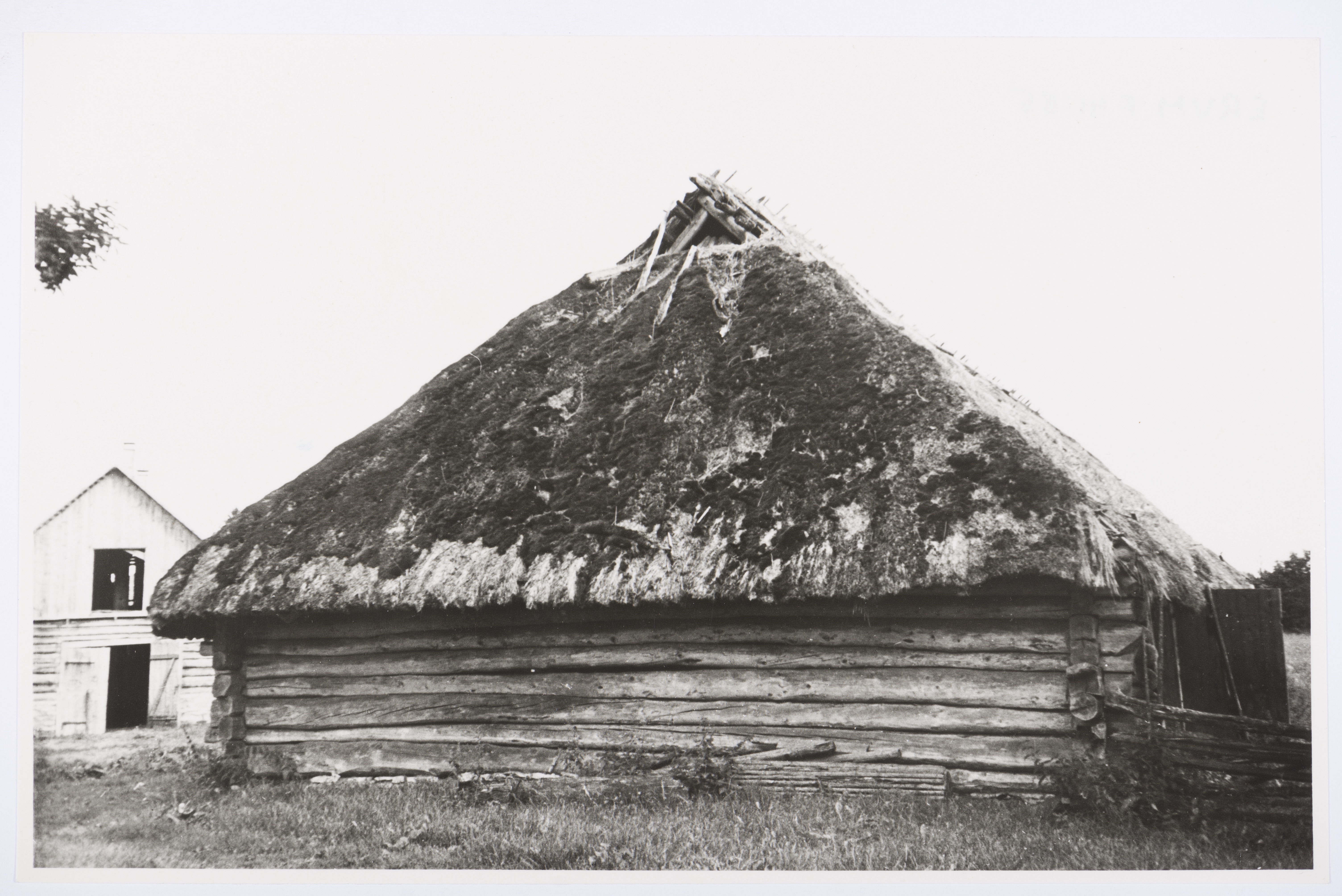 Veski-Jaagu talu rehi Sipa külas, otsavaade (1960)