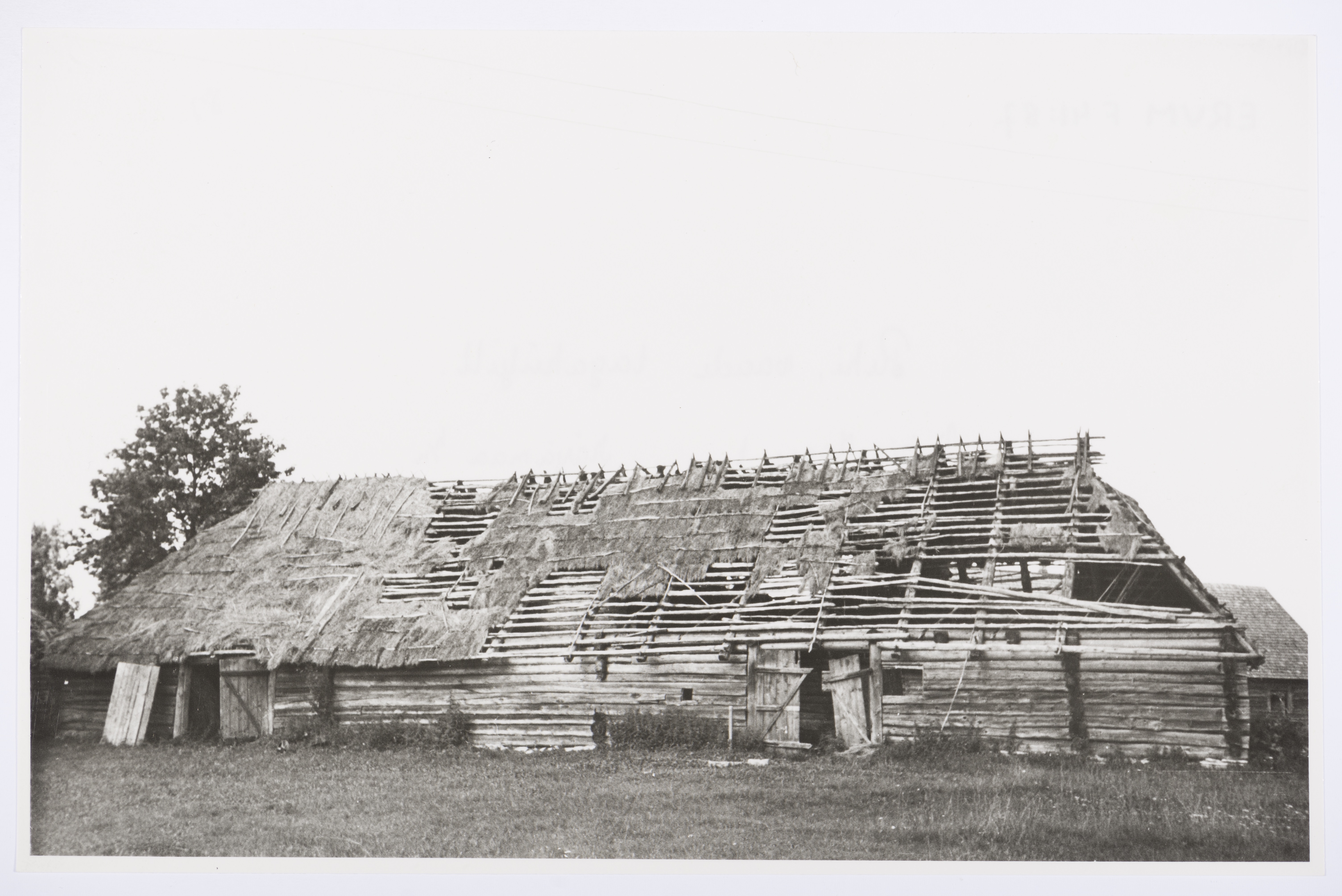 Veski-Jaagu talu rehi Sipa külas, tagantvaade. , EVM F 41:87, Eesti Vabaõhumuuseum SA