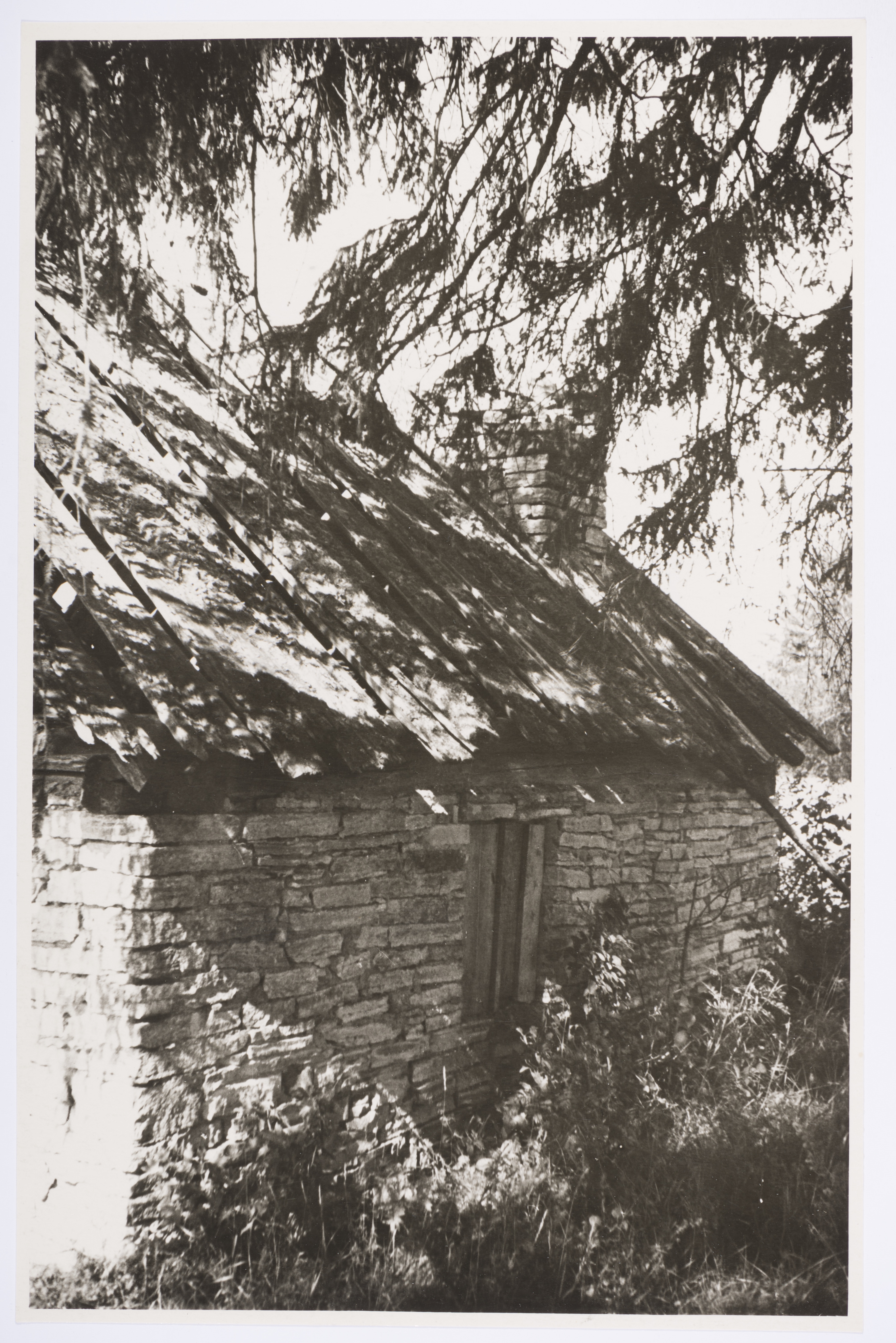 Veski-Jaagu talu sepikoda Sipa külas, külgsein., EVM F 41:101, Eesti Vabaõhumuuseum SA (1960)