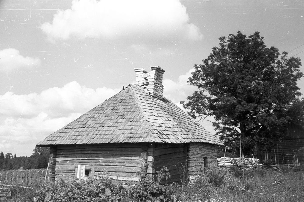 Veski-Jaagu talu saun Sipa külas., EVM N 46:81, Eesti Vabaõhumuuseum SA (juuli 1960)