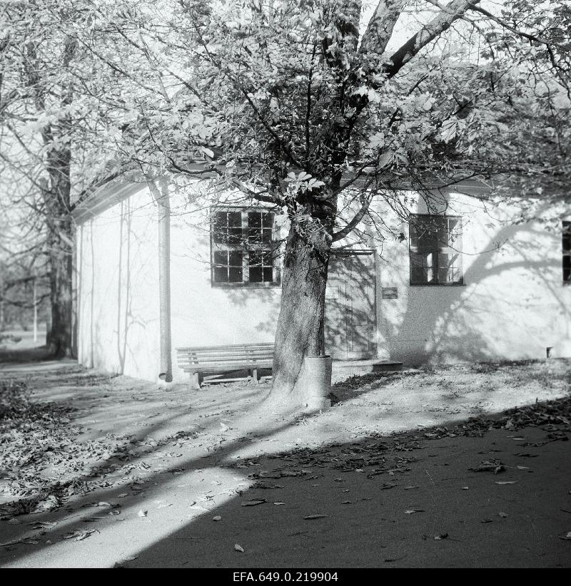 View Peeter I House Museum.