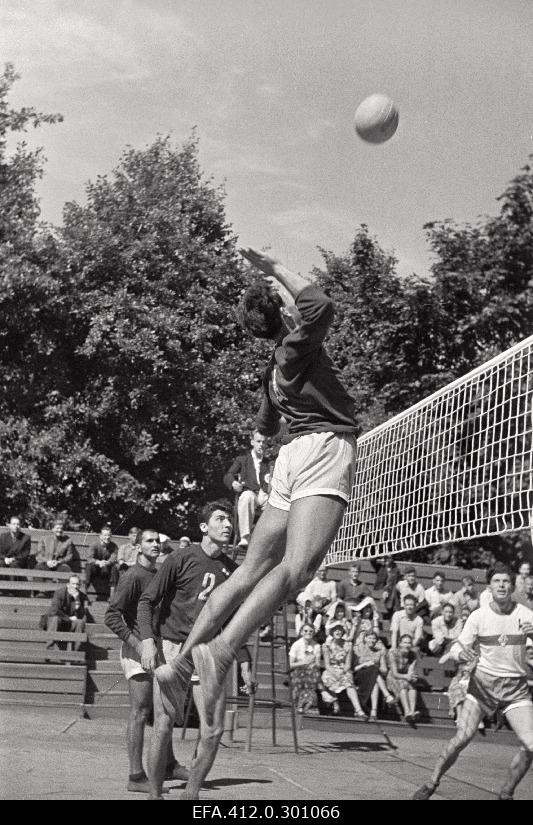 Volleyball competition (Dynamo).