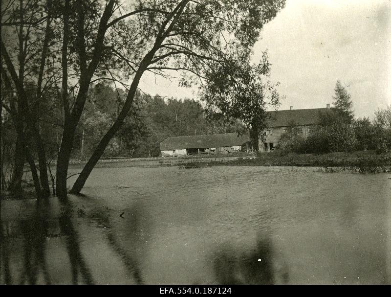 Palamuse veski lake.