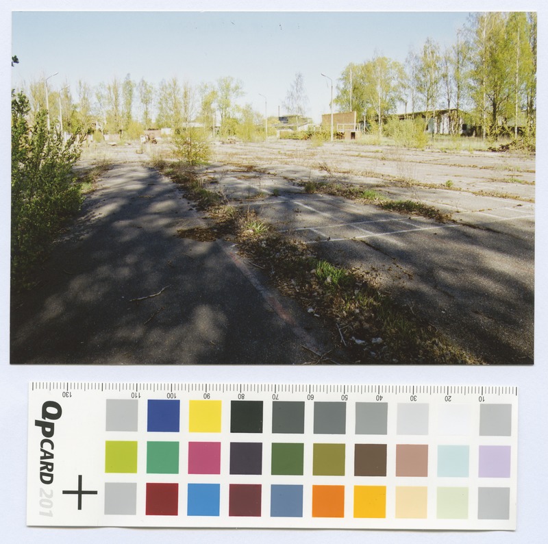 View of the grass-growing asphalt square. Colorful.