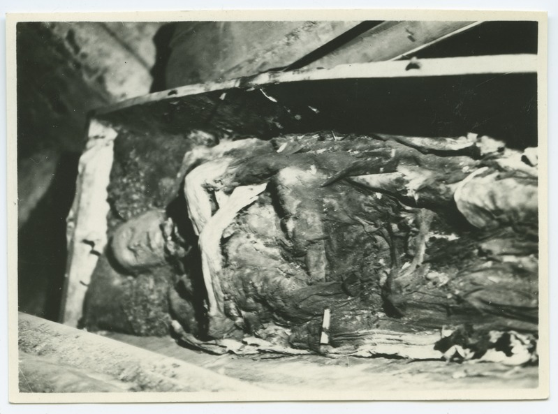 Tallinn, Toomkirik, Mumia in the tomb, for the installation of open central heating.