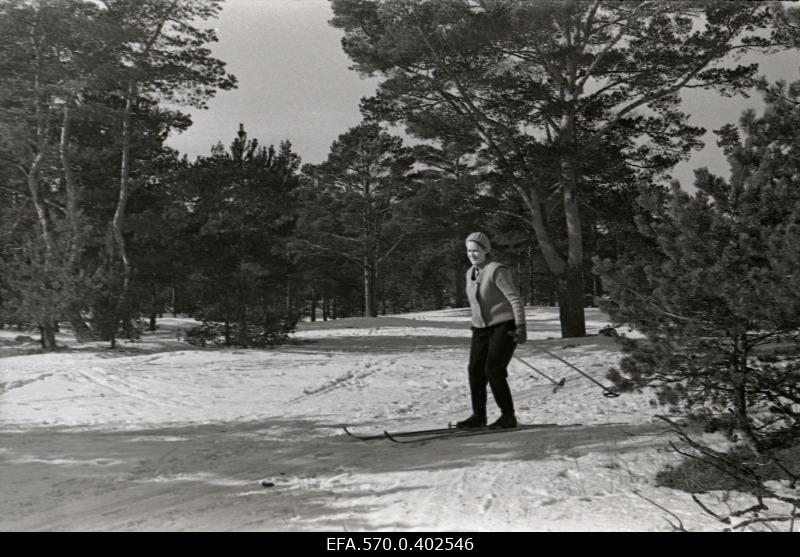 Skier in Mustamäel.