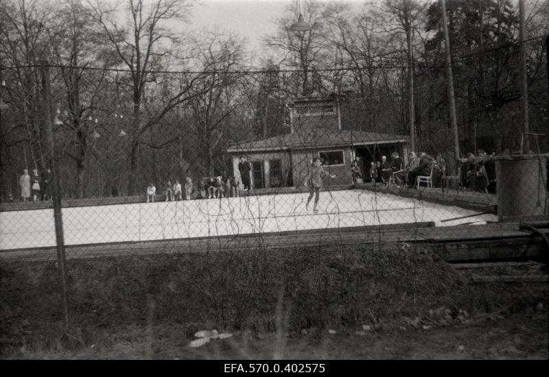 Swimming pool Kadriorus.