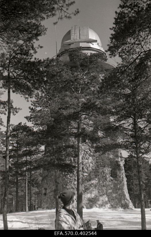 View of the star tower in Glehn Park.