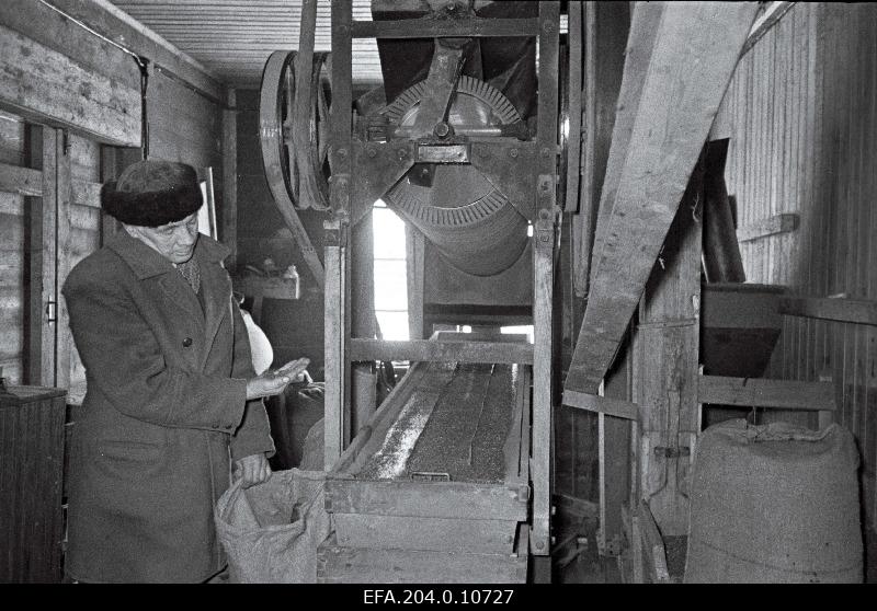 Viljandi Toorlin factory worker h. Maximum to clean the linseed.