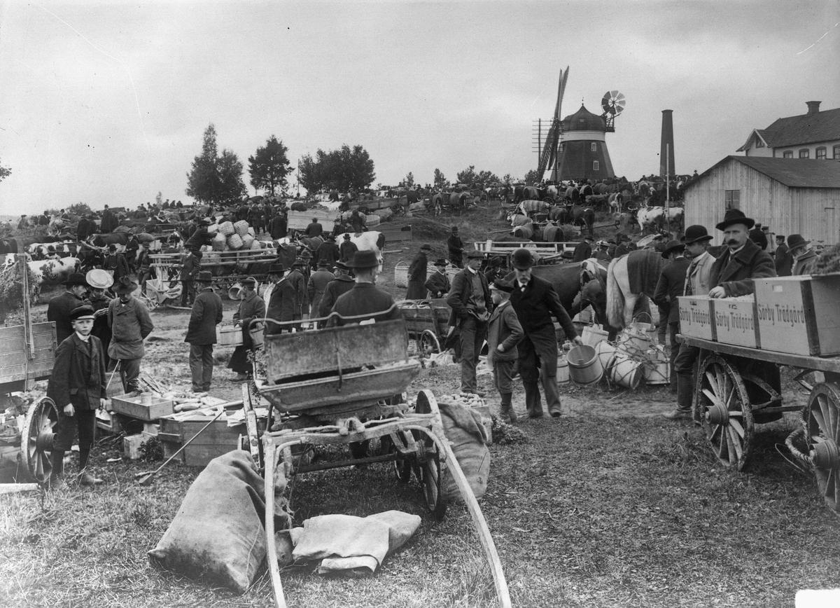 Odensbackens Marknad, kreaturshandel och marknadsstånd.
Odensbackens väderkvarn i bakgrunden. -