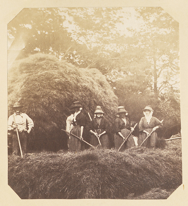 Haymaking at Penlle'r-gaer