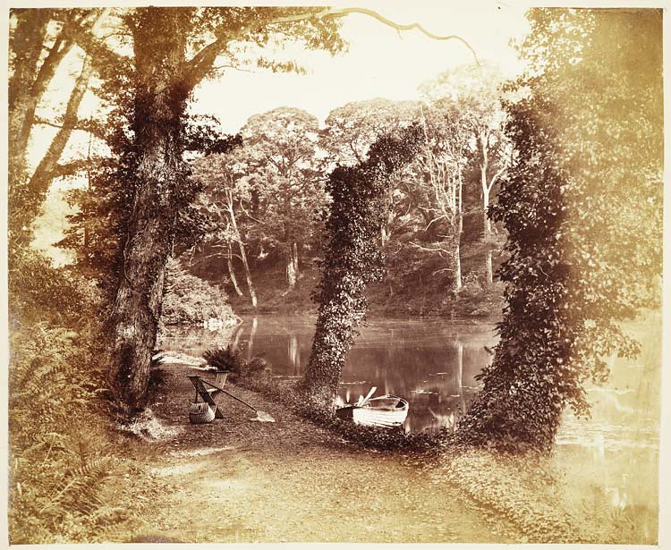 Upper Lake Penllergare