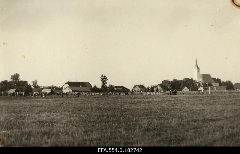 View of the dog’s alevi.