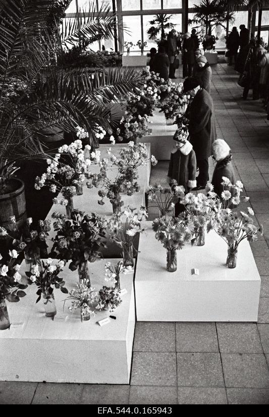 Flower exhibition in Flower Paviljon.