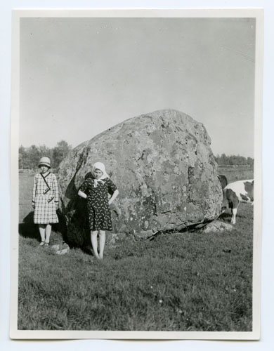 Stenar där man offrar smultron. (1932)